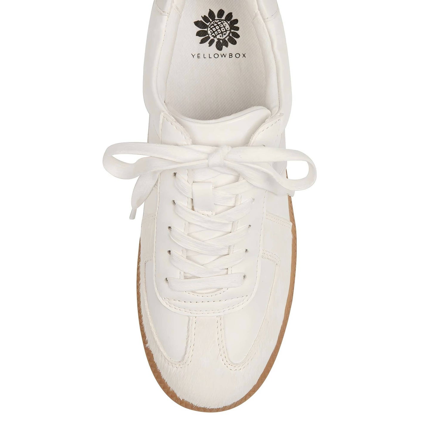 Lace Up Low Top Sneakers
