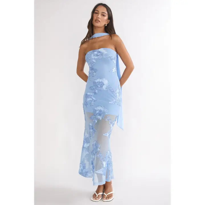 Liz Embroidered Strapless Maxi Dress