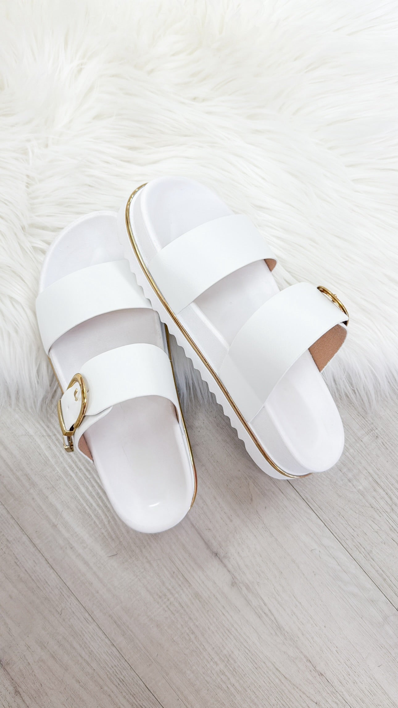 The Delaney Platform