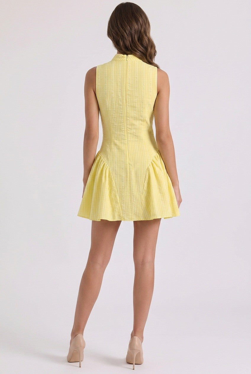 Kimber Sleeveless Mini Dress