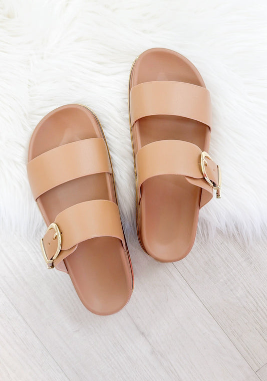 The Delaney Platform