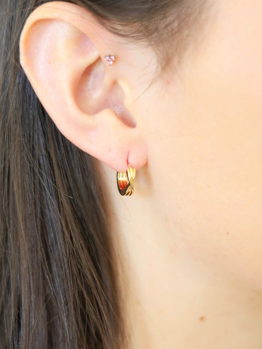 Robyn Luxe Earrings