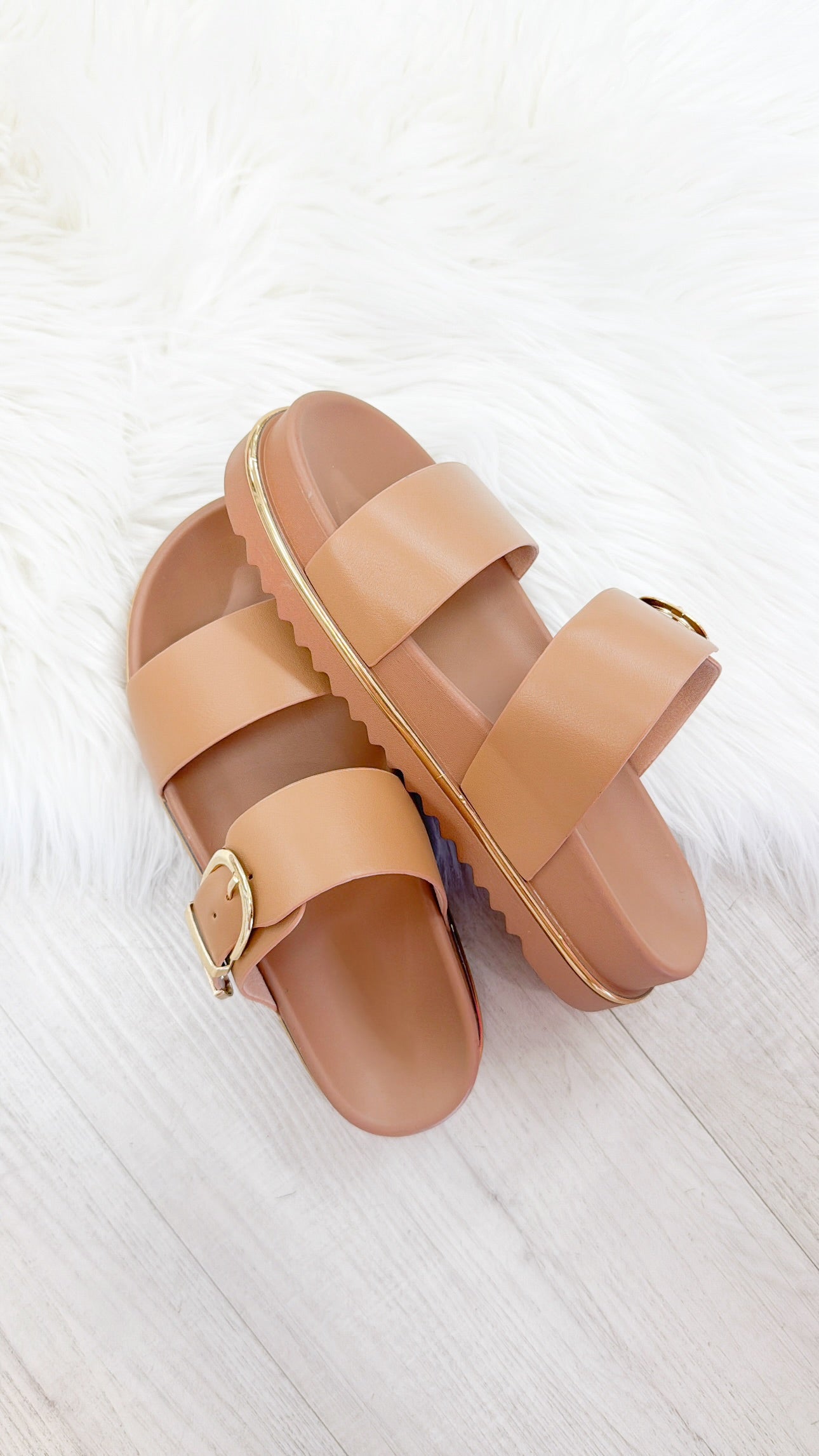 The Delaney Platform