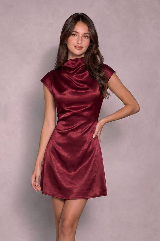 Lindsay Cowl Neck Mini Dress