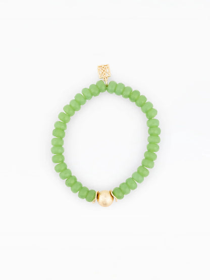 Paloma Bracel