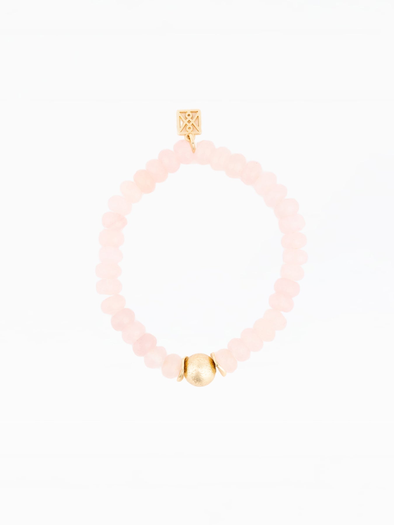 Paloma Bracel