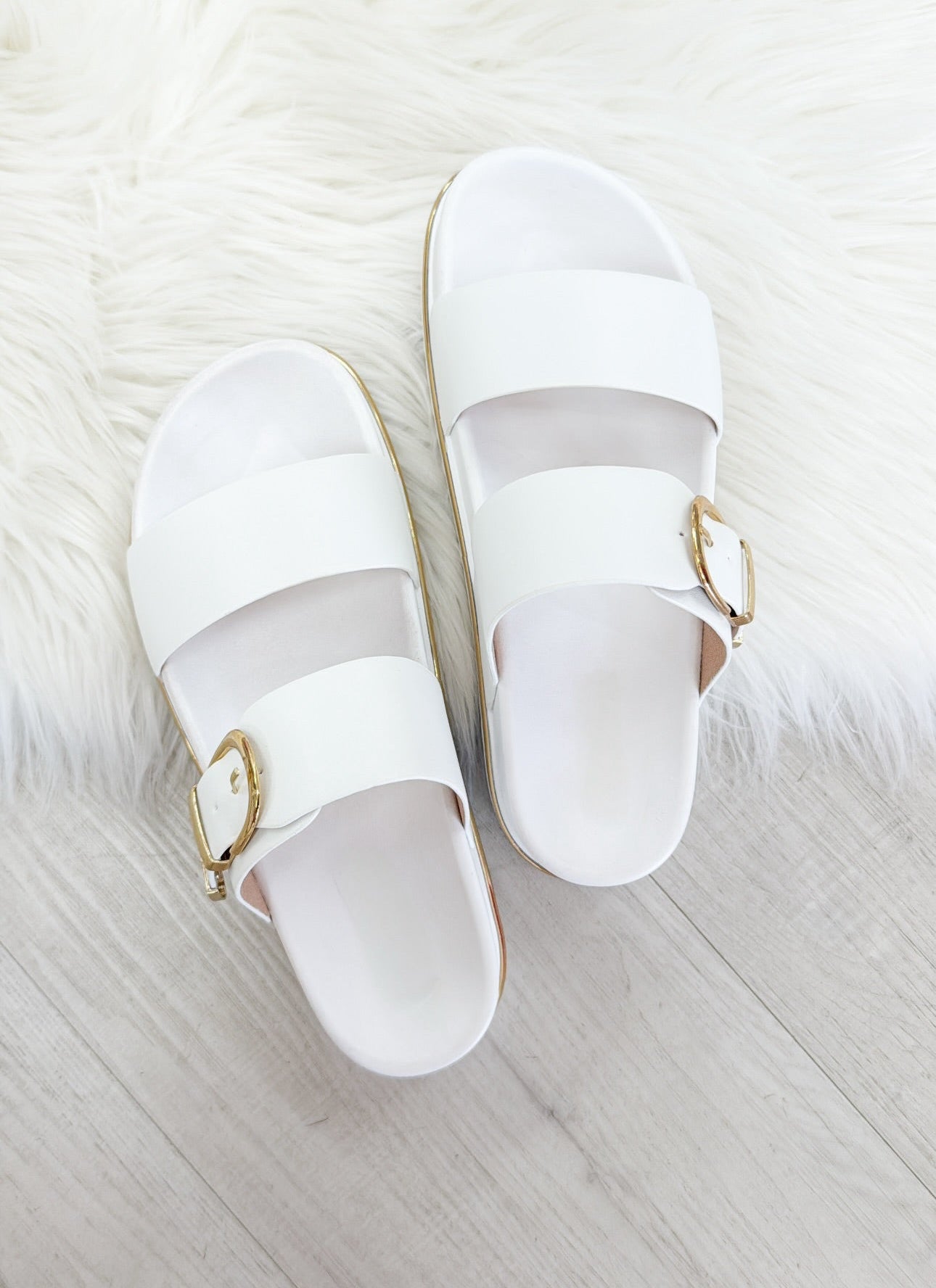 The Delaney Platform