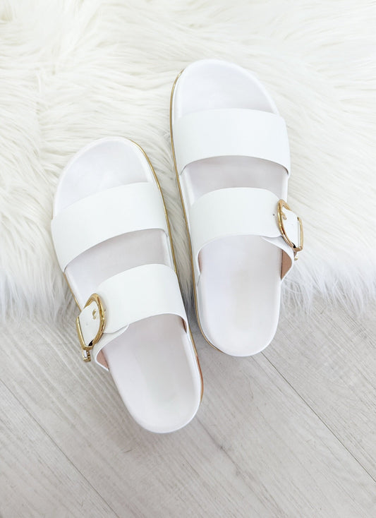 The Delaney Platform