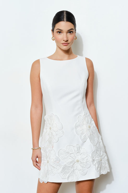 Sleeveless Floral Applique Dress