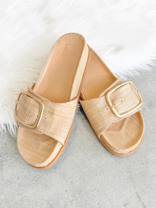 Delphine Wide Buckle Strap Sandal