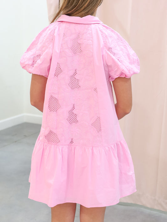 Alana Floral Embroidered Mini Dress