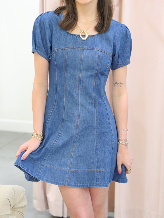 Kristen Denim Short Sleeve Dress