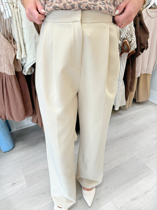 Pleated Wide Leg Trouser Pants