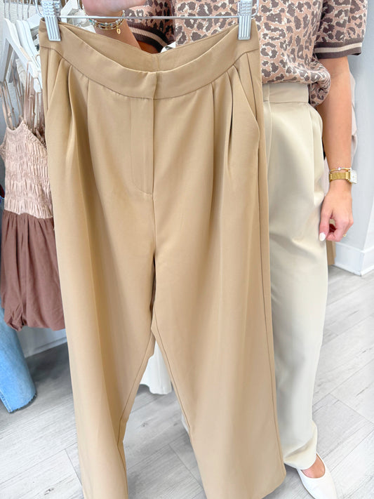 Pleated Wide Leg Trouser Pants