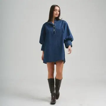 Cleo Denim Dress