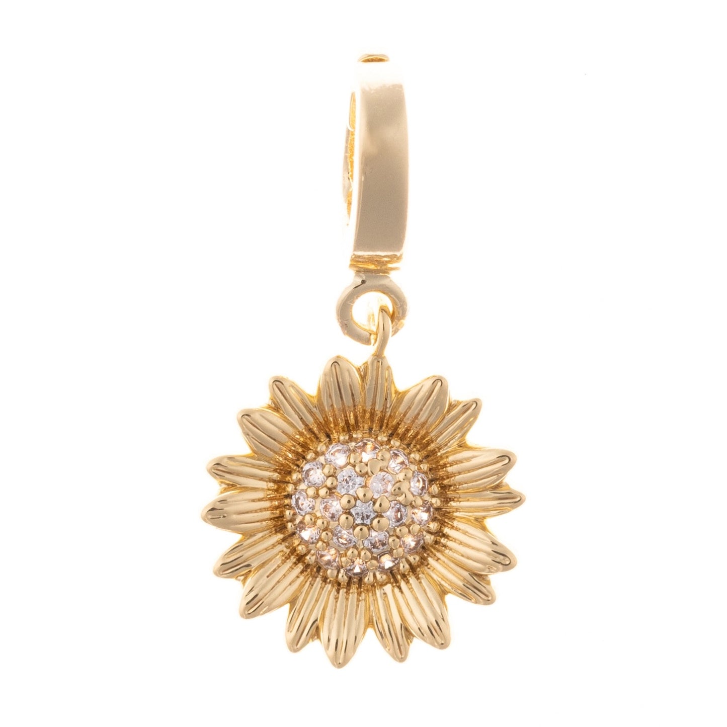 Sophie Charms