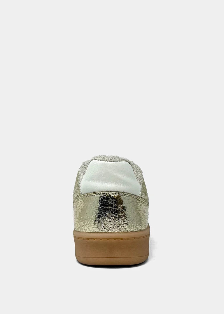 Portland Sneakers
