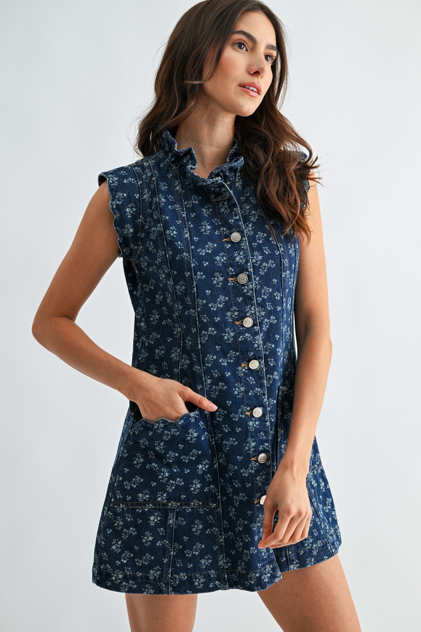 Francie Floral Denim Dress