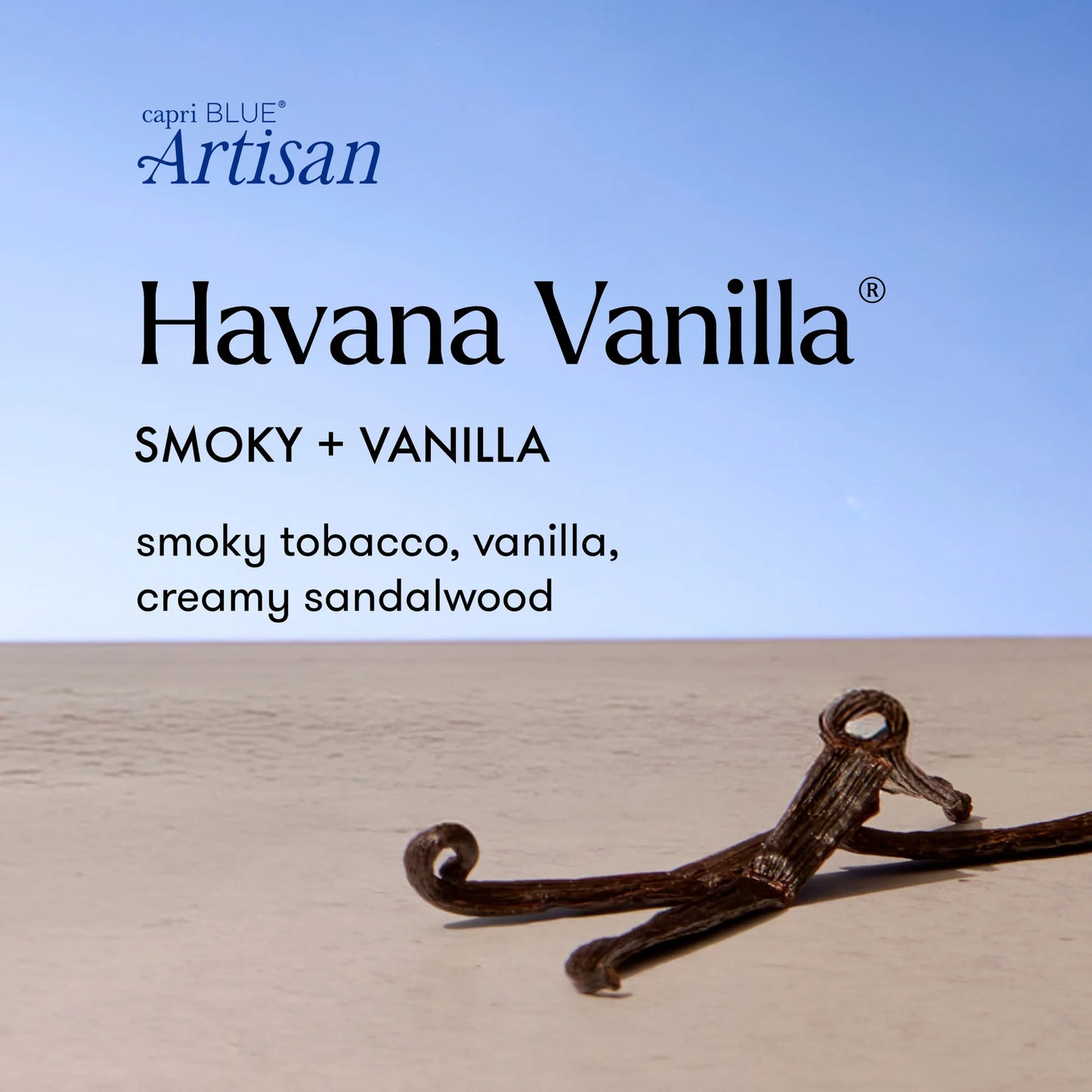 Havanna Vanilla Petite Candle