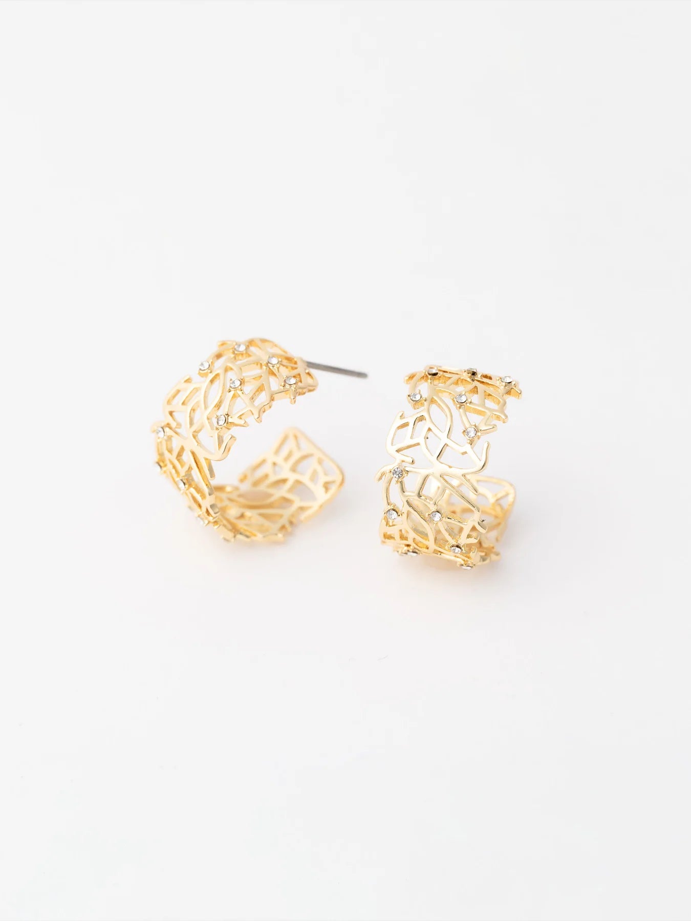 Ethan Hoop Earrings