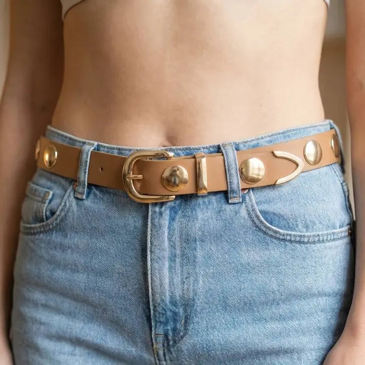 Metallic Disc Belt