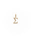 Sophie Greek Letter Necklace Charms