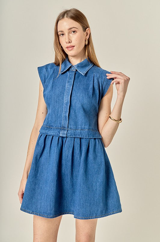 Denille Denim Mini Dress